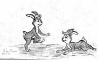 Two bunny friends play together.